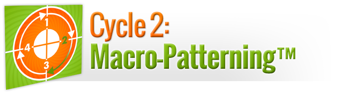Cycle 2: Macro-Patterning™