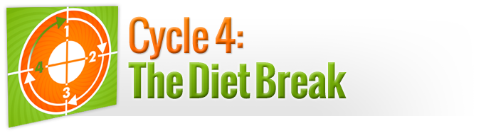 Cycle 4: The Diet Break